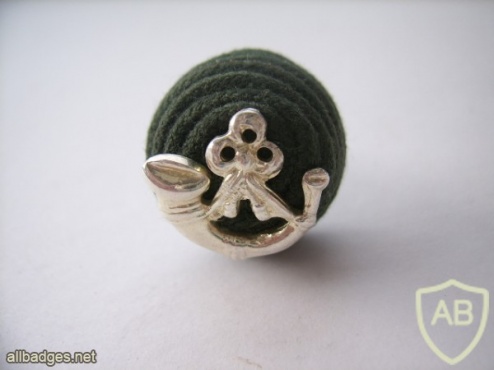 Royal Green Jackets Hat Badge, Officers' Silver, Side Hat / Cap Badge & Boss img35800