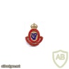 Royal Hibernian Military School cap badge, King's crown, very rare img35806