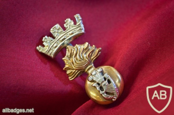 Royal Irish Fusiliers cap badge img35858