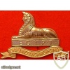 Royal Lincolnshire Regiment cap badge