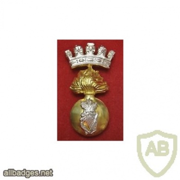Royal Irish Fusiliers cap badge img35856
