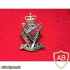 Royal Irish Rangers cap badge img35818