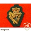Royal Irish Regiment Beret Badge, officer's, cloth