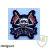 Royal Lancers cap badge