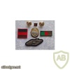 Royal Tank corps cap badge img35850