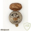 Royal Welsh Fusiliers cap badge, bimetal, (WELCH) img35874