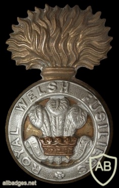 Royal Welsh Fusiliers cap badge, bimetal, (WELSH) img35867