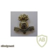 ROYAL DUBLIN FUSILIERS cap badge img35876