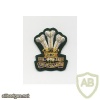 Royal Welsh beret badge, cloth