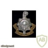 Royal Sussex Regiment cap badge img35910