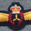 Royal Canadian Air Force Flight Engineer wings
