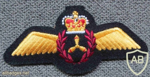 Royal Canadian Air Force Flight Engineer wings img35957