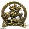 Palestine Volunteer Force hat badge img35960