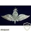 ETHIOPIA Parachutist wings, Senior img35964