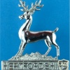Hertfordshire constabulary collar badge, type 2