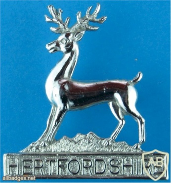 Hertfordshire constabulary collar badge, type 2 img35995
