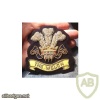 WELCH Regiment blazer badge, cloth, The Welch img35993