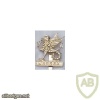 Wessex Brigade cap badge, staybrite img36012