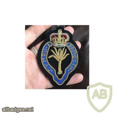 Welsh Guards blazer badge, cloth, Queen's crown img36008