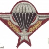 FRANCE Army Parachute wings blazer patch