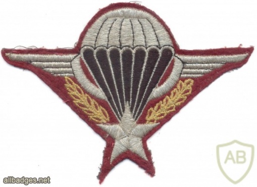 FRANCE Army Parachute wings blazer patch img36028