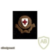 British Red Cross Society cap badge