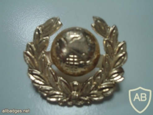 Royal Marines Police collar badge img36068