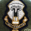 Special Reconnaissance Regiment beret badge