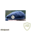 Royal Air Force cap badge, Queen's crown img36100