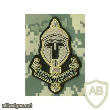 Special Reconnaissance Regiment beret badge img36093