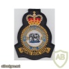Royal Air Force 44th (Rhodesia) Squadron blazer badge, Queen's crown