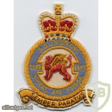 Royal Air Force 207th Squadron blazer badge, Queen's crown img36087