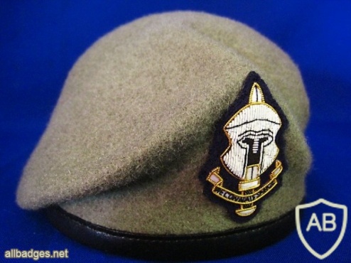 Special Reconnaissance Regiment beret badge img36094