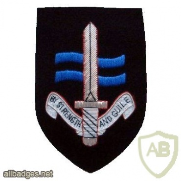 SBS [special boat service] beret badge img36088