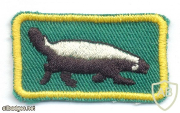 SOUTH WEST AFRICA - SWATF - Tracker proficiency cloth badge, green img36116