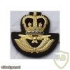 Royal Air Force Regiment RAF Warrant Officer cap badge, cloth, Queen's crown