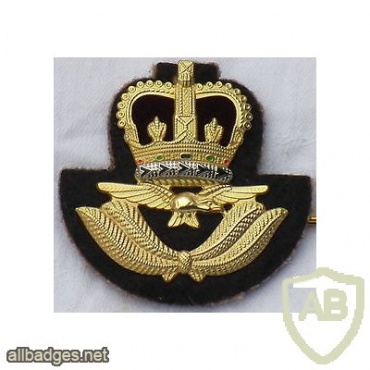 Royal Air Force Regiment RAF Warrant Officer cap badge, cloth, Queen's crown img36096