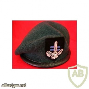 badge information page - Viewing Badge SBS [special boat service] beret ...