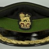 British Army Dental Corps Colonel cap img36159
