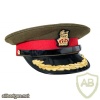Brigadier colonel cap  img36139