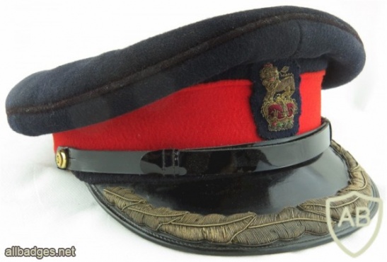 Brigadier colonel cap  img36138