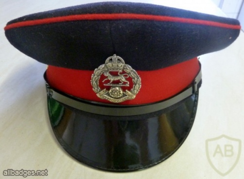 Royal Hampshire Regiment cap img36193