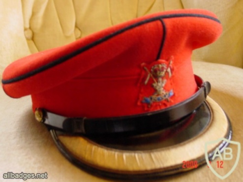 9th/12th ROYAL LANCERS cap, Officers img36214