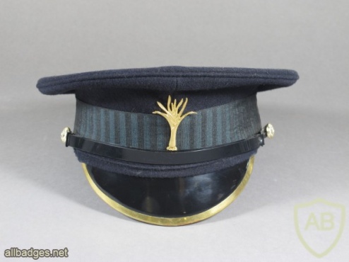 Welsh Guards cap img36216