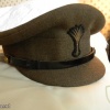 Welsh guards cap, field img36220