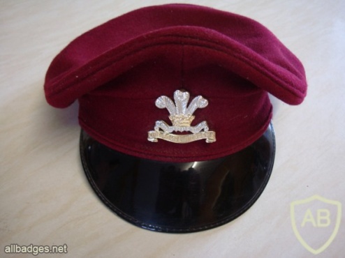 Royal Hussars cap img36221