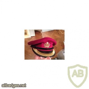 Royal Gloucestershire Hussars cap, Officer's img36199