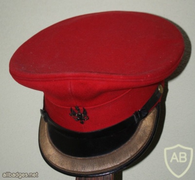 14th/20th King's Royal Hussars cap, Officer’s img36241