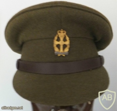 Queen Alexandra's Royal Army Nursing Corps cap, field img36247