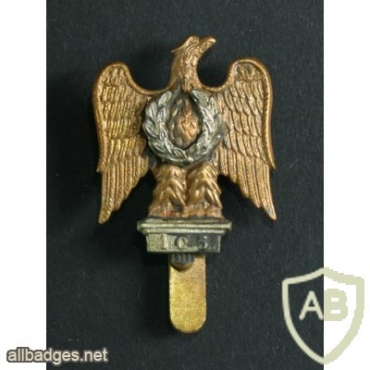 1st The Royal Dragoons cap badge, 105 Captured Eagle Bi-Metal img36318